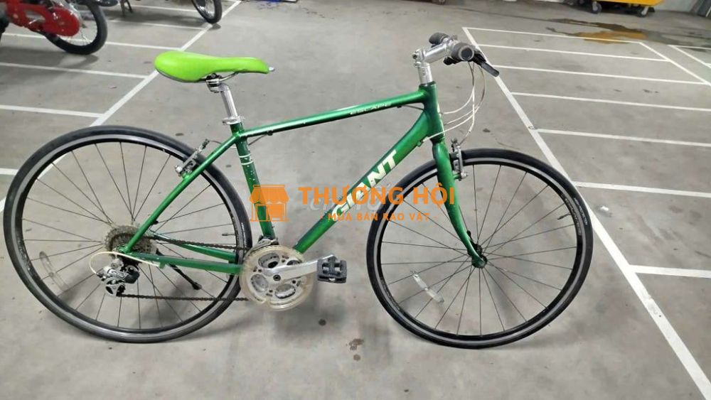 Xe đạp Giant Escape Xanh lá Nhật Bản
