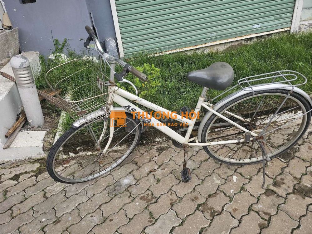 Xe đạp Asama khung Thép