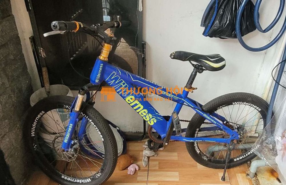 Xe đạp trẻ em Wilderness Xanh dương