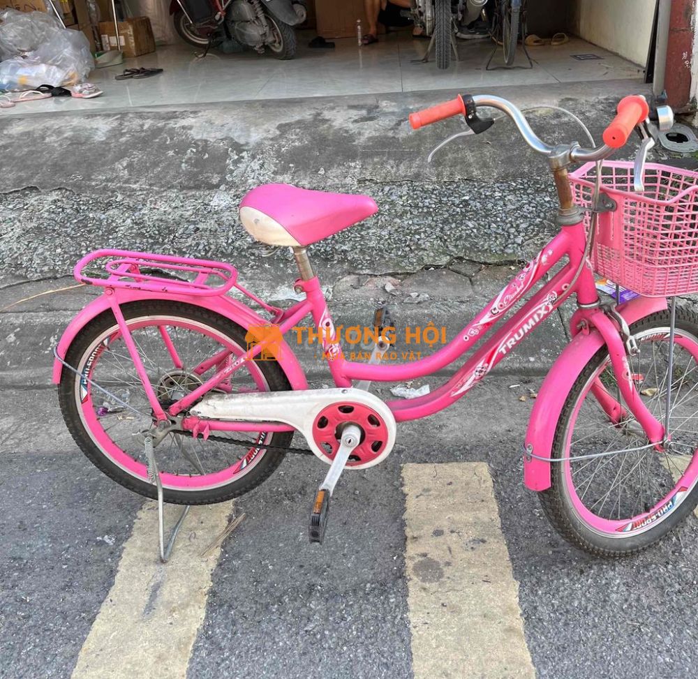 Xe đạp trẻ em Nữ 20 inch Hồng