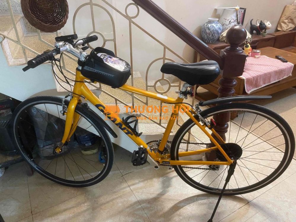 Giant Escape vàng hàng Nhật