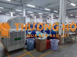 Công nhân đóng gói chuyền - nhà máy Bình Dương