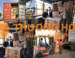 Bao ăn ở, bốc xếp hàng nhẹ, tăng ca lĩnh tiền ngay