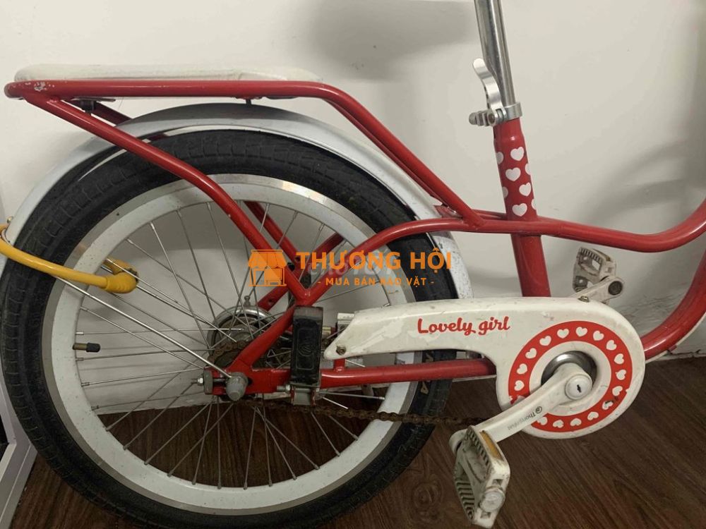 bán xe đạp thông nhất còn mới
