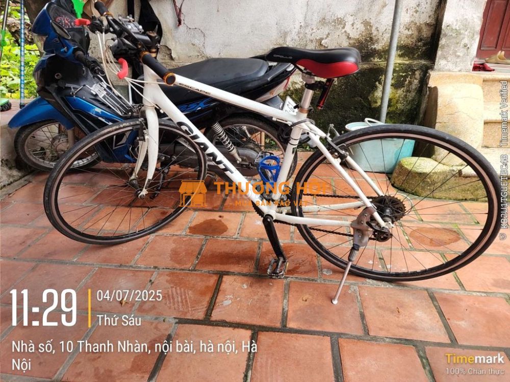 Giant nhật touring size chuyên châu Á