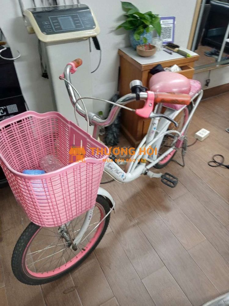 xe đạp mini thống nhất Neo 20-03