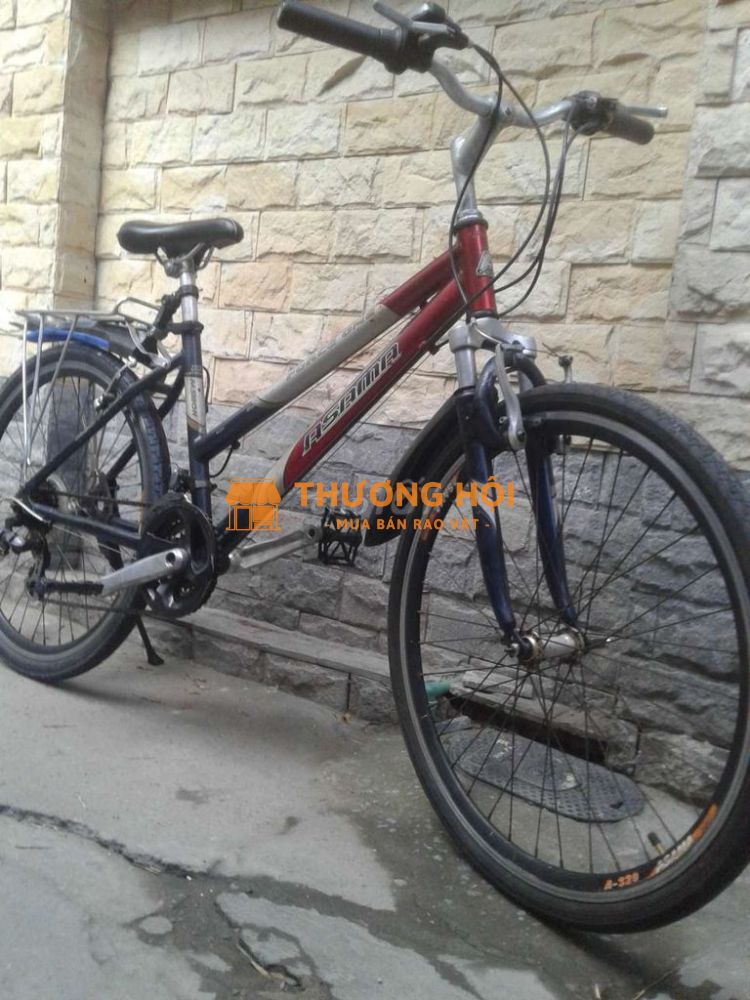 xe 26in nhật ASAMA.26in FORCE ONE .1666k