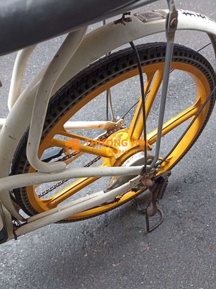 Xe đạp điện bãi