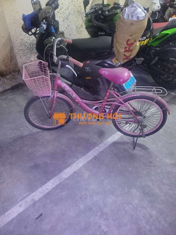 Hanoi, bán xe Avibus hồng cho trẻ cấp 1