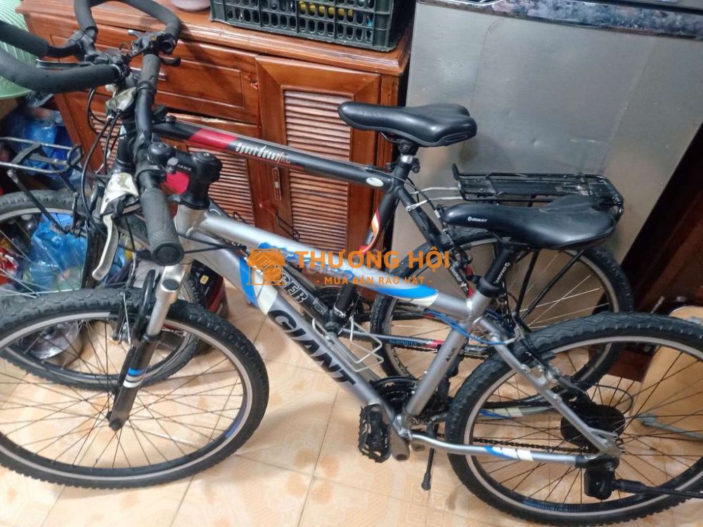 Xe đạp thể thao hàng bãi