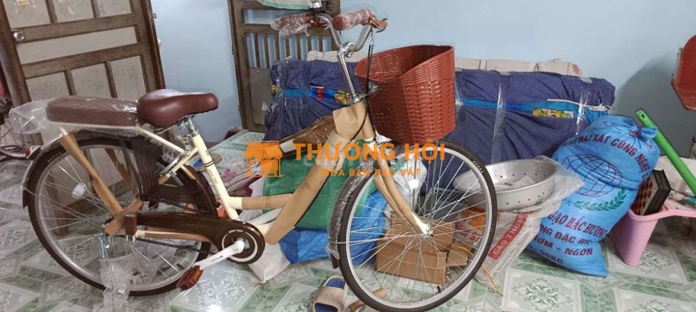 Xe đạp Thống Nhất màu nâu kem, hàng mới