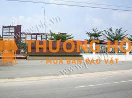 CÔNG VIỆC NGỒI LÀM ĐÓNG GÓI CÀ PHÊ