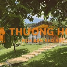 Tuyển quản lý homestay tại Đà Lạt