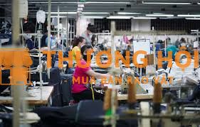 Tuyển Nam Nữ Thời Vụ