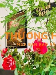 TUYỂN NV SPA TẠI QUẬN 1