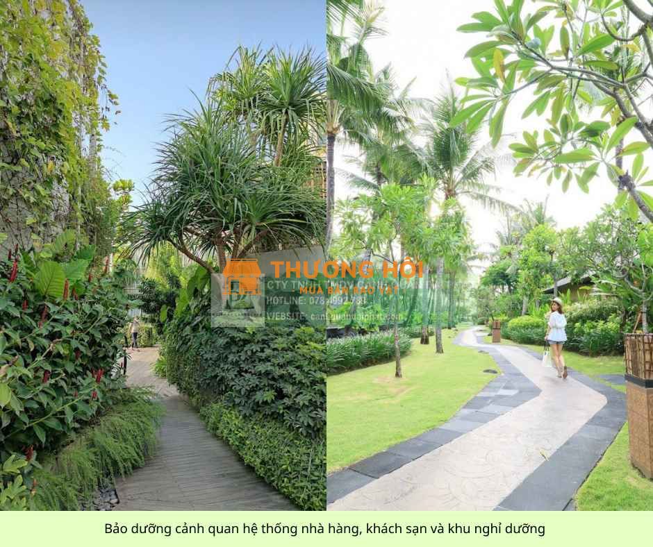 Bảo dưỡng cảnh quan nhà hàng khách sạn biệt thự Quận 2,TPHCM