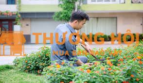 Tuyển nhân viên chăm sóc cây xanh
