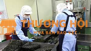 Cần 10 nữ tham gia phỏng vấn đơn hàng chế biến rong biển tại Nhật