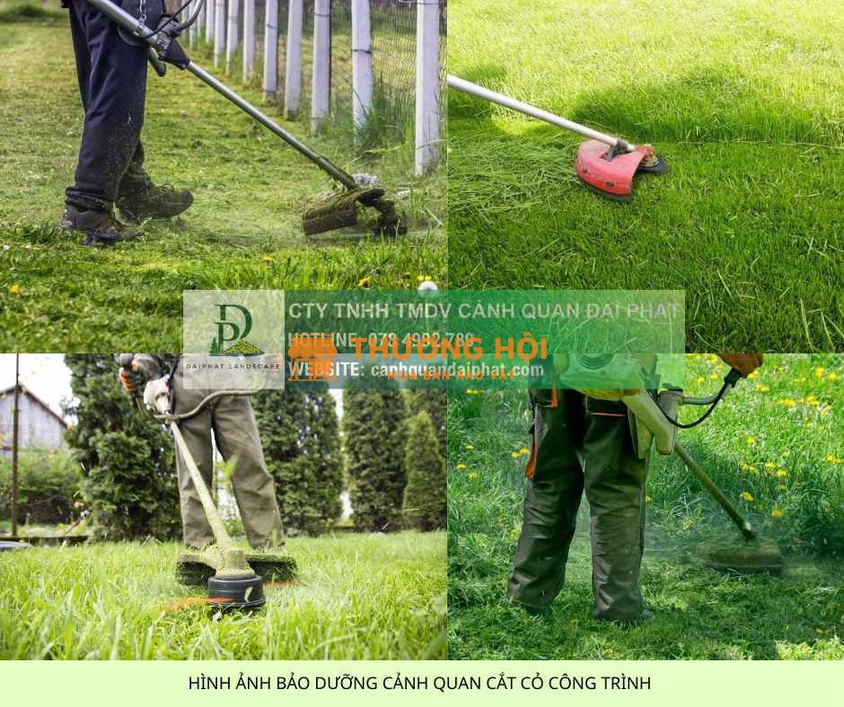 Dịch Vụ Cắt Cỏ Bằng Dây Cước – Nhanh, Sạch, An Toàn