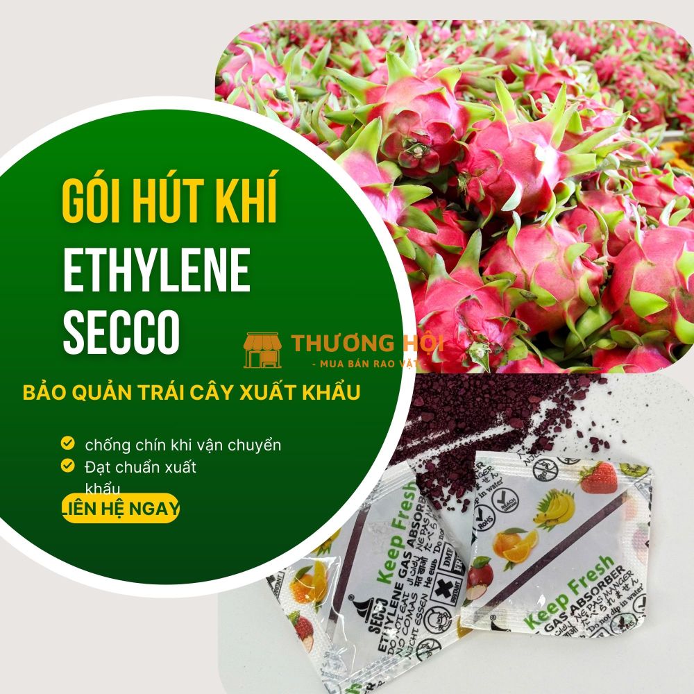 Gói hút khí Ethylene Secco 5g - giải pháp vàng cho trái cây xuất khẩu, nông sản Việt