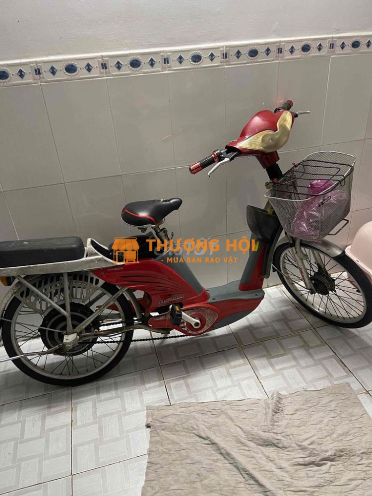 Xe đạp điện màu Đỏ, Xám