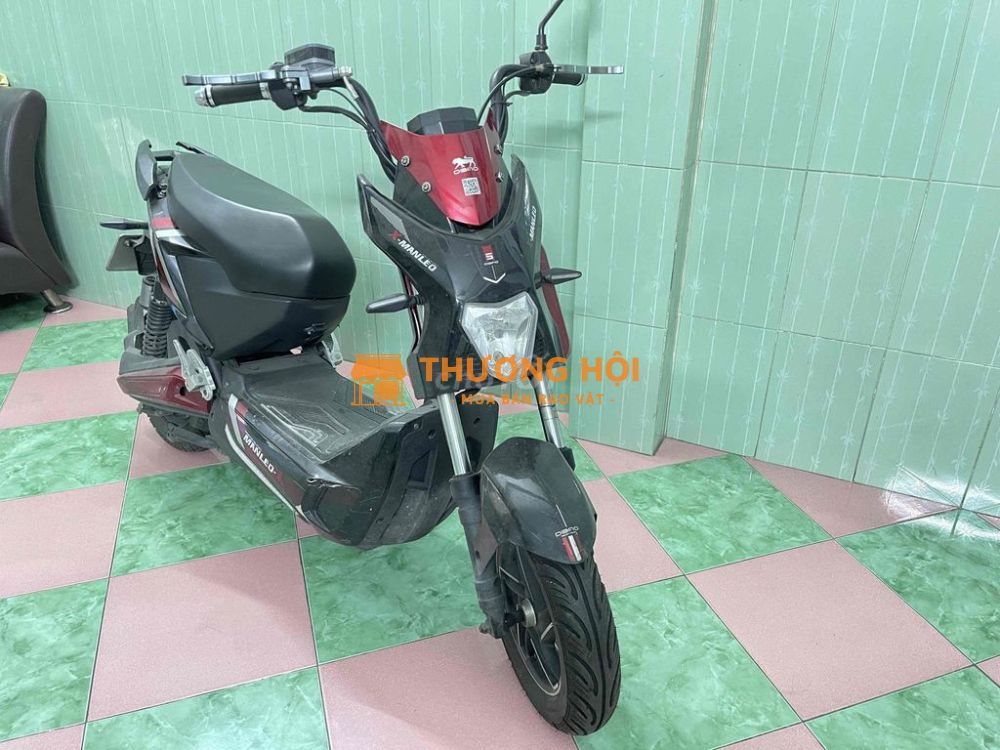 Cần bán xe máy điện Dibao X-MANLEO
