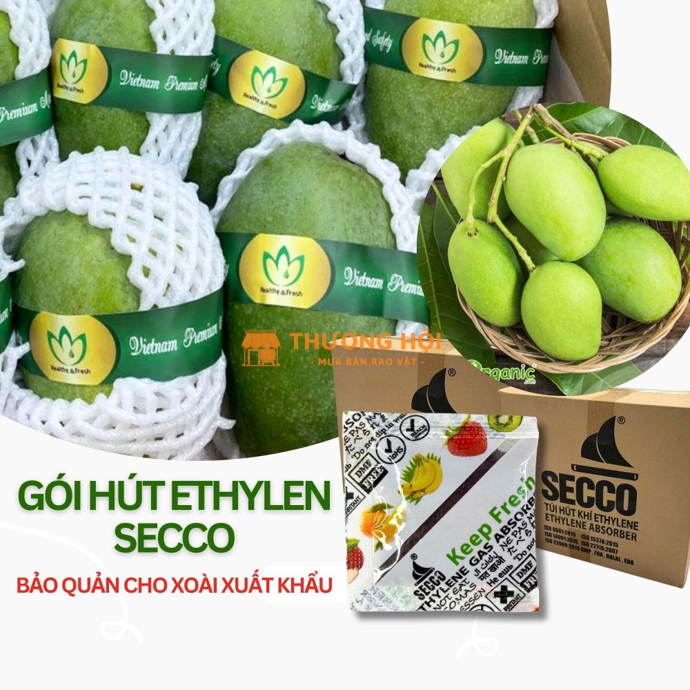 Nhà Cung Cấp Gói Hút Khí Ethylene Secco 5g Cho Xoài - Trái Cây Xuất Khẩu