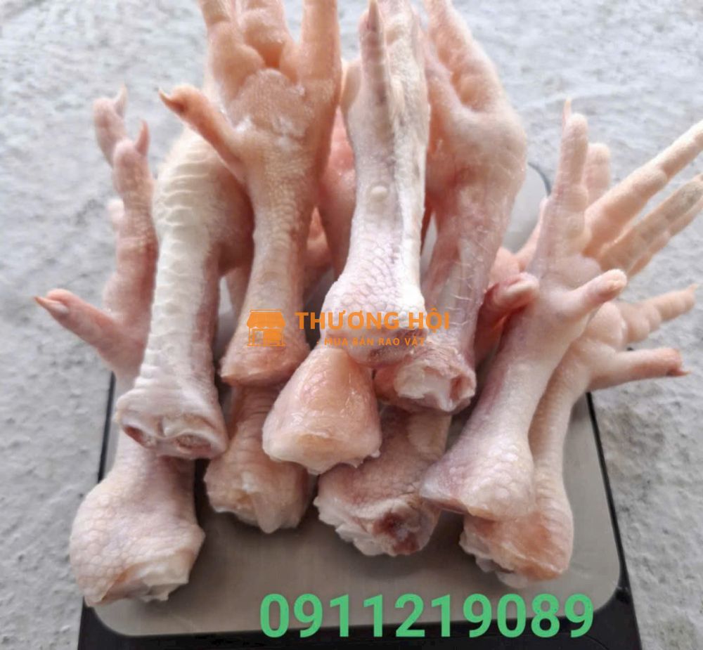 Bán buôn chân gà nhập khẩu cho cơ sở chế biến