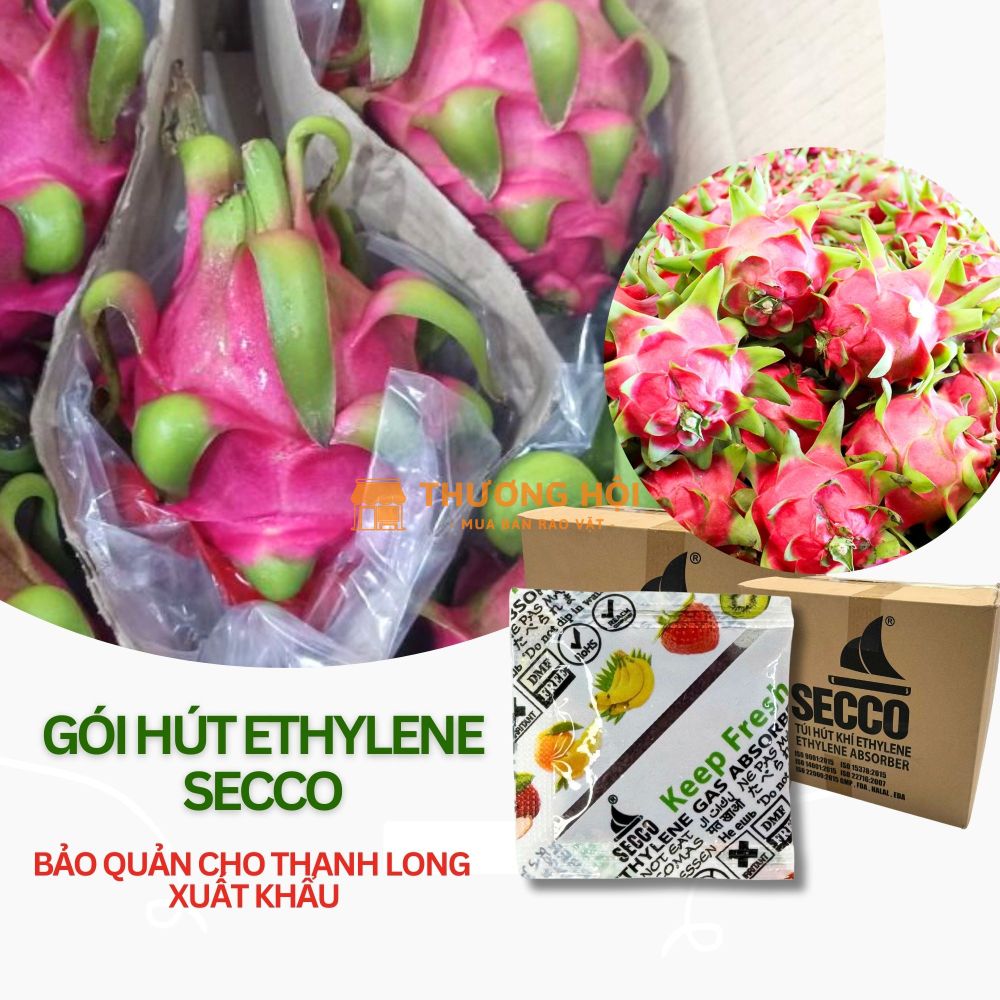 Gói Hút Khí Ethylene Secco 5g - Chống hư hỏng cho trái cây, Thanh Long Xuất Khẩu