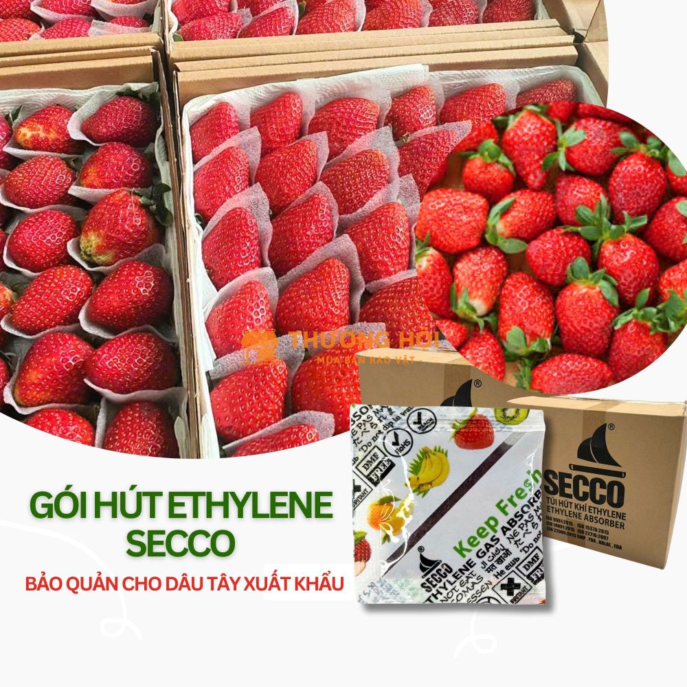 Gói Hút Khí Ethylene Secco 5g - Chống hư hỏng, bảo quản Dâu Tây