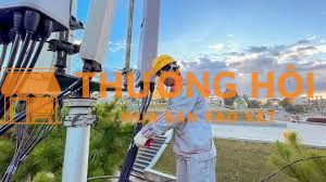 TUYỂN LĐPT THI CÔNG MẠNG VIỄN THÔNG