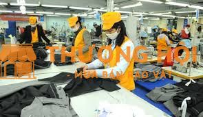 TUYỂN LAO ĐỘNG PHỔ THÔNG – CHẢI VẢI, ỦI, GẤP XẾP