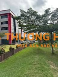 Cần *** Quản Kho và Trợ Lý biết tiếng Trung
