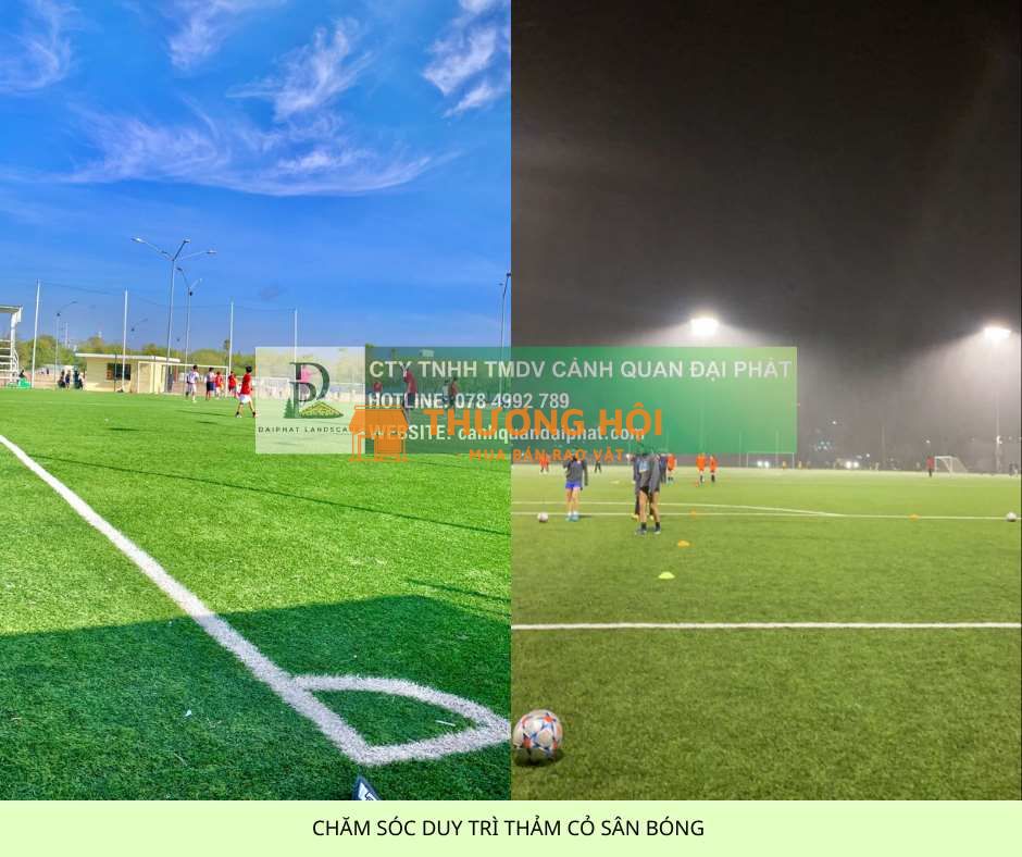 Dịch vụ chăm sóc thảm cỏ sân bóng tại TP.HCM, Đồng Nai