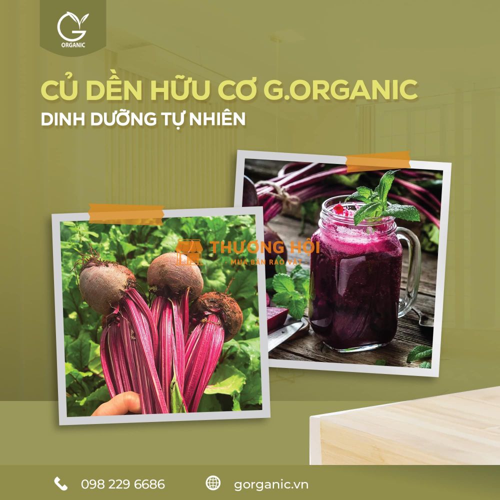 Củ dền - một trong những loại củ có năng lượng xanh - G.Organic