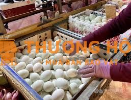 Cần 2 nữ đơn hàng chăn nuôi xkld Đài Loan