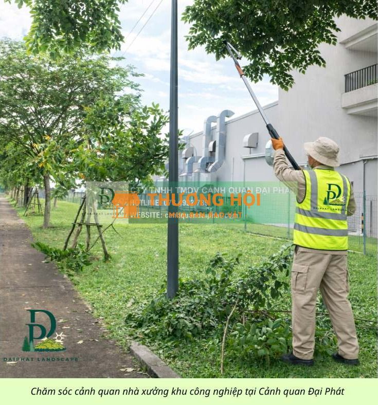 DỊCH VỤ CẮT CỎ & VỆ SINH CẢNH QUAN KCN LONG THÀNH – ĐỒNG NAI