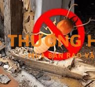 Cần tuyển gấp 03 nam Lao động phổ thông (LĐPT) Kiểm soát côn trùng