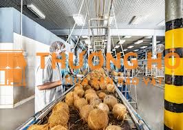 Cần tuyển công nhân sản xuất thạch dừa làm việc tại TP Bến Tre.