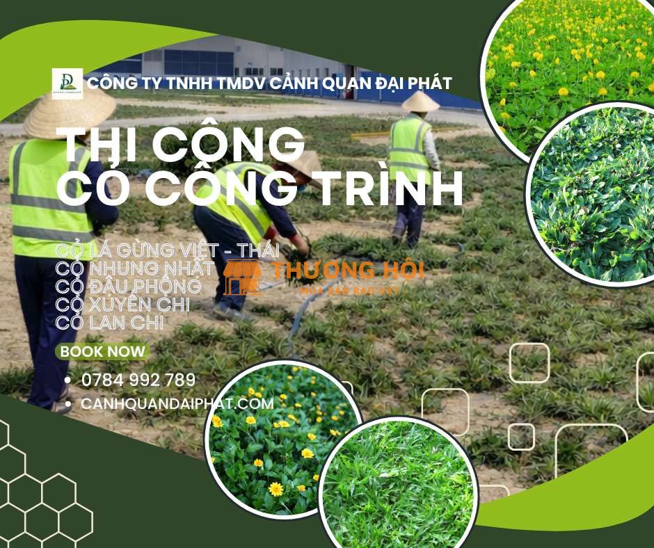 Trồng Cỏ lá gừng – Cỏ nhung Nhật tại KCN Long Đức, Long Thành, Nhơn Trạch,…