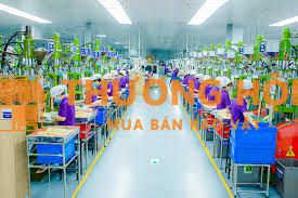 Công nhân chính thức tại Luxshare Nghệ An