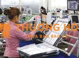 Công Nhân Lắp Ráp Linh Kiện