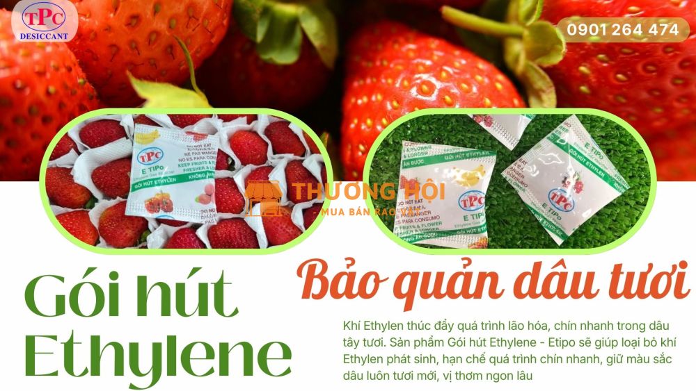 Gói Hút Khí Ethylen Bảo Quản Dâu Tươi Lâu Chín