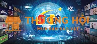SCTV Long Thành, Nhơn Trạch tuyển kỹ thuật viên