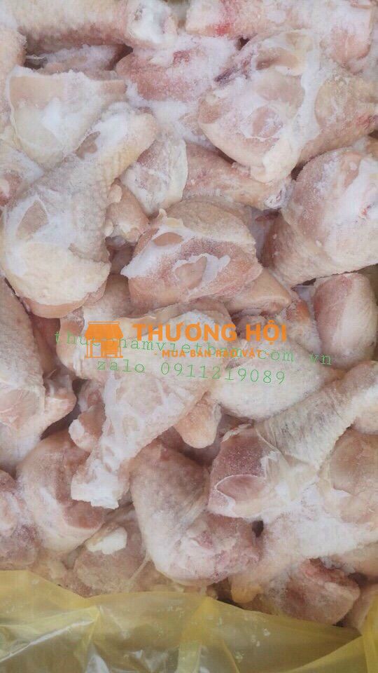 Mua Tỏi Gà Nhập Khẩu Giá Cạnh Tranh