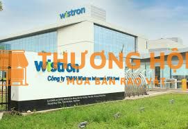 Lao động thời vụ và chính thức