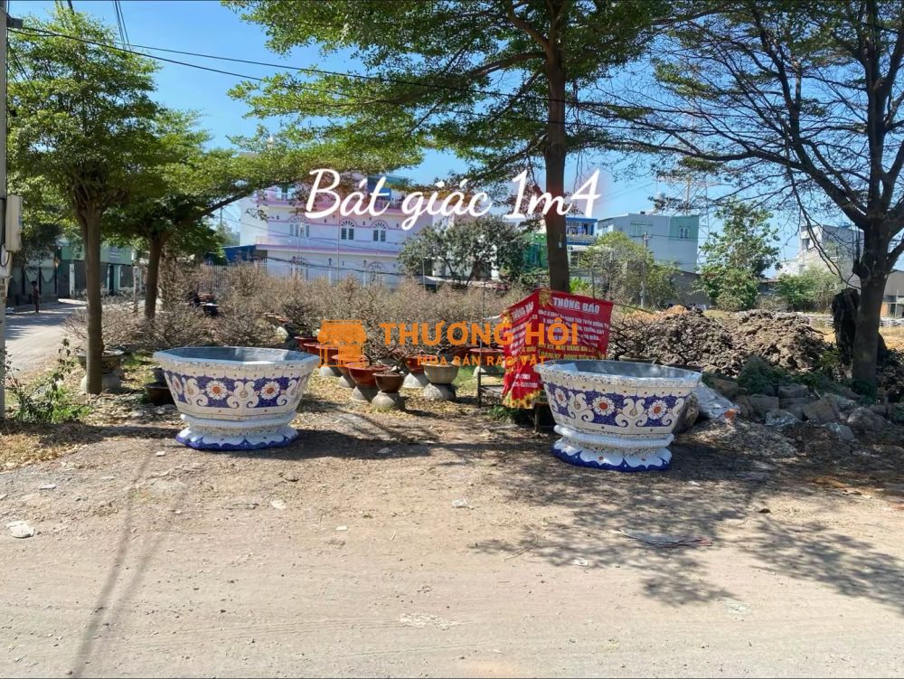 Nghề khảm sành sứ - Nghệ thuật từ mảnh vỡ - chuyên chậu cảnh