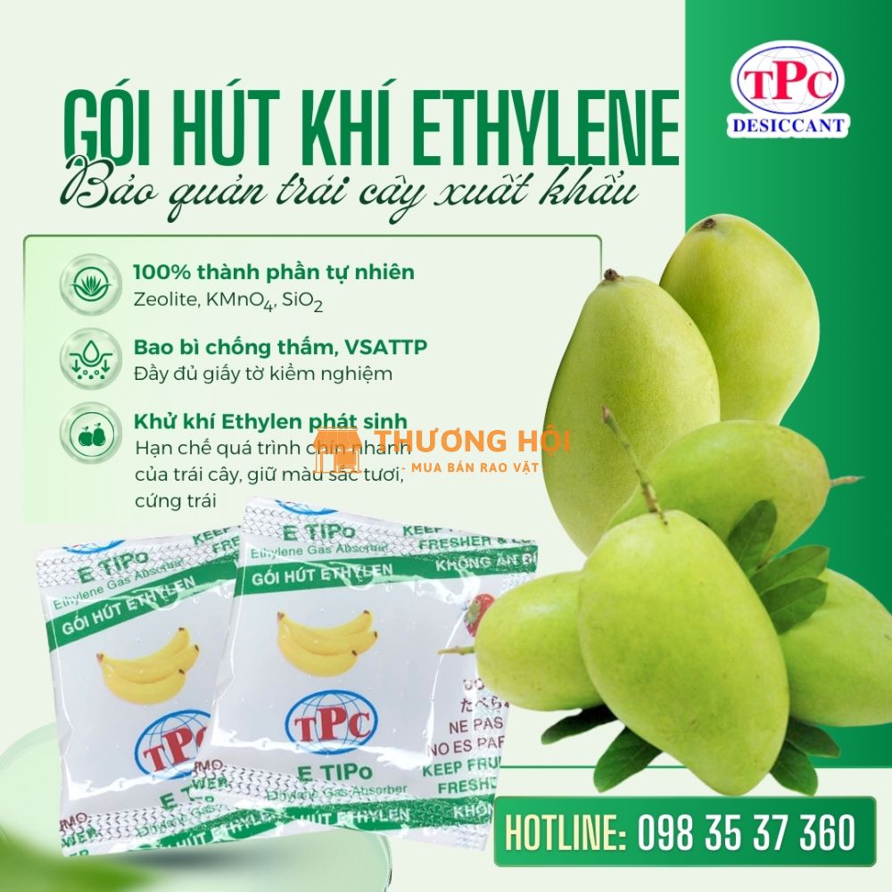 Gói hút khí Ethylene giúp bảo quản xoài lâu chín khi xuất khẩu