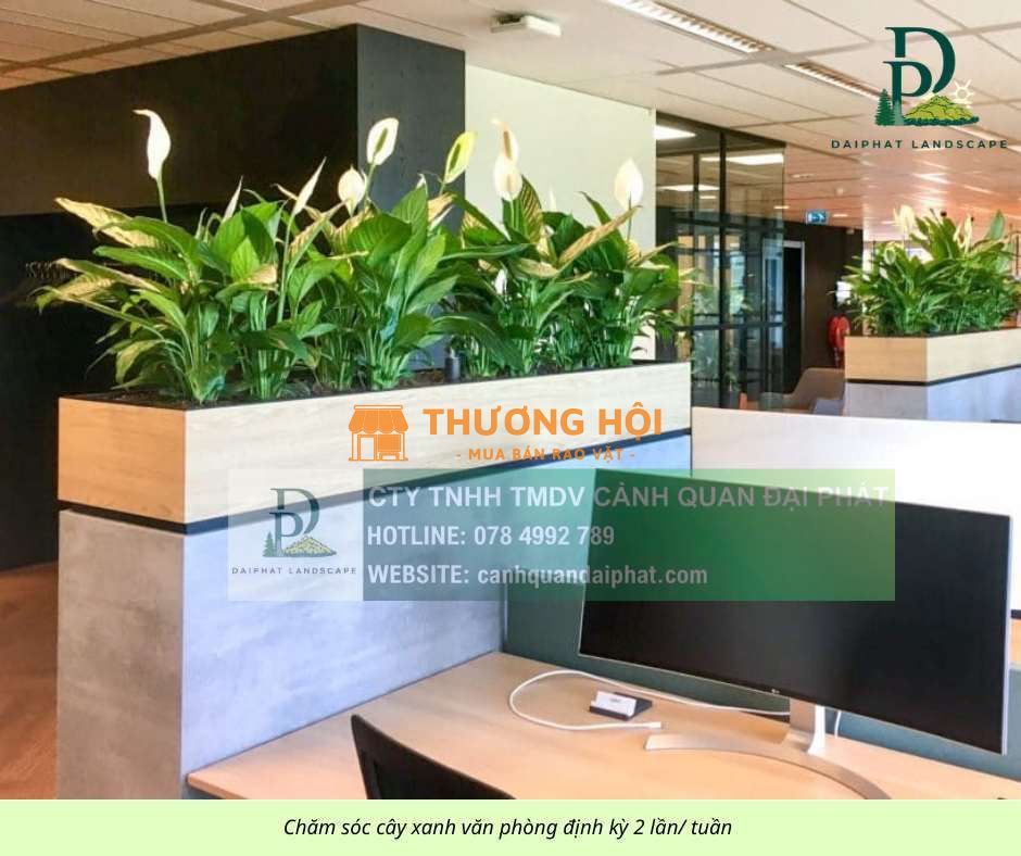 DỊCH VỤ CHĂM SÓC CÂY XANH – CẮT CỎ – CẮT TỈA CẢNH QUAN ĐỊNH KỲ TẠI ĐỒNG NAI