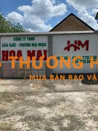 NHỰA HOA MAI TUYỂN DỤNG